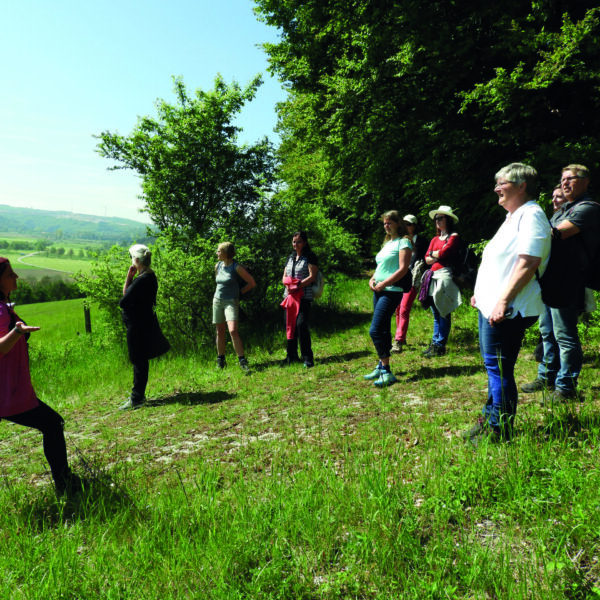 AB 2603 - Kursgebühr Mitglied